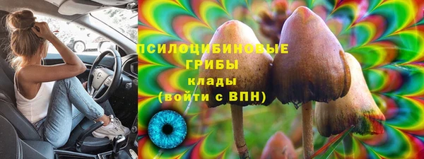 ALPHA-PVP Алексеевка