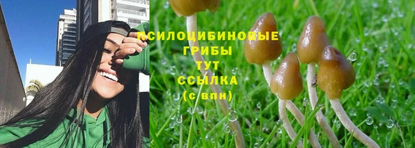 mix Алексин