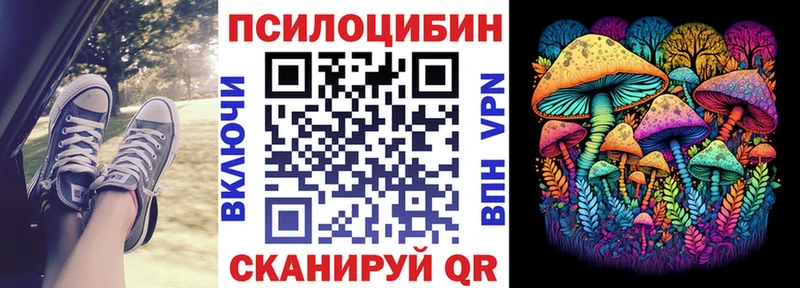 Галлюциногенные грибы Cubensis Томск